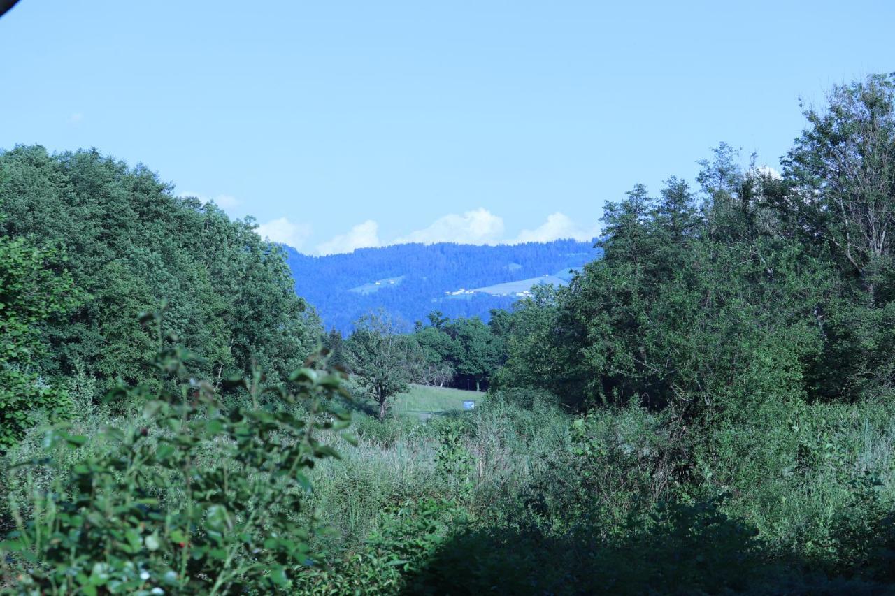 Wohnung #5 mit Balkon - zentrale dennoch ruhige Lage mit Terrasse - Stadtbus vor der Tür! Lindau  Exterior foto